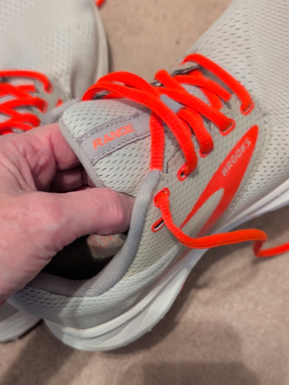 Brooks Range DNA - Picture 2 of 7